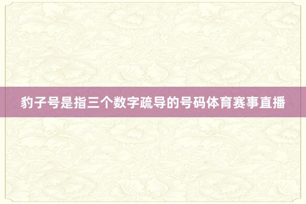 豹子号是指三个数字疏导的号码体育赛事直播