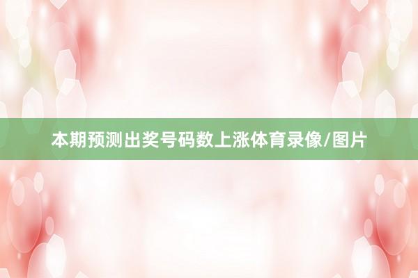 本期预测出奖号码数上涨体育录像/图片