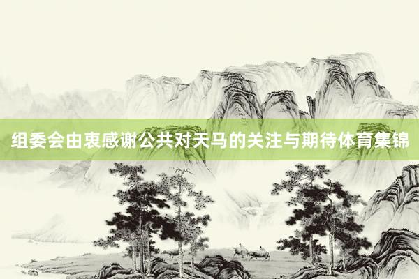 组委会由衷感谢公共对天马的关注与期待体育集锦