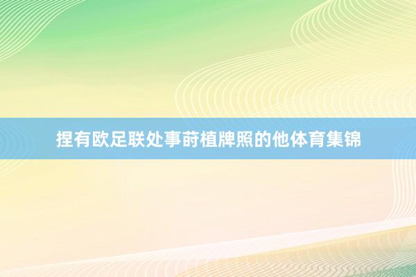 捏有欧足联处事莳植牌照的他体育集锦