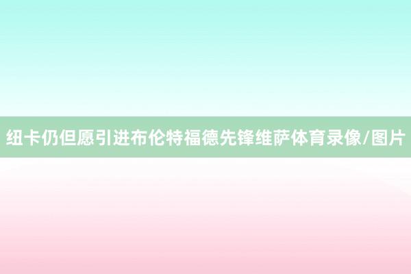 纽卡仍但愿引进布伦特福德先锋维萨体育录像/图片