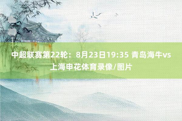 中超联赛第22轮：8月23日19:35 青岛海牛vs上海申花体育录像/图片