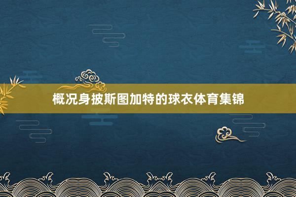 概况身披斯图加特的球衣体育集锦