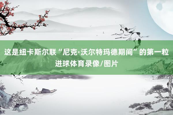 这是纽卡斯尔联“尼克·沃尔特玛德期间”的第一粒进球体育录像/图片