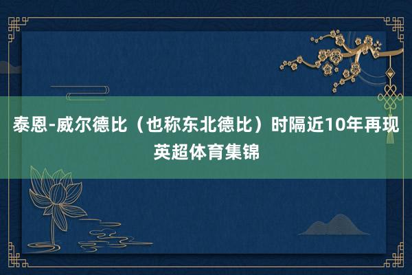 泰恩-威尔德比（也称东北德比）时隔近10年再现英超体育集锦