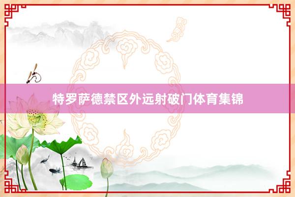 特罗萨德禁区外远射破门体育集锦
