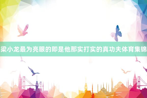 梁小龙最为亮眼的即是他那实打实的真功夫体育集锦