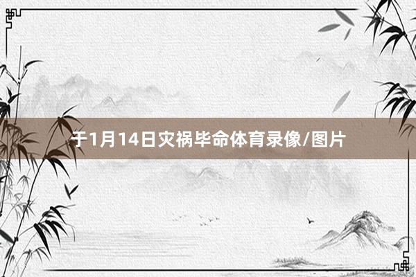 于1月14日灾祸毕命体育录像/图片