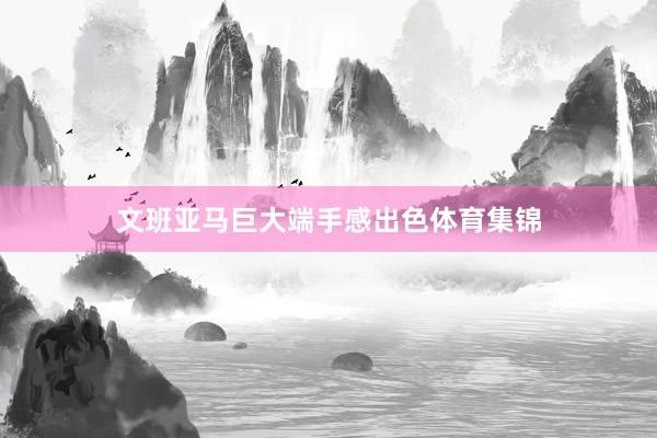 文班亚马巨大端手感出色体育集锦