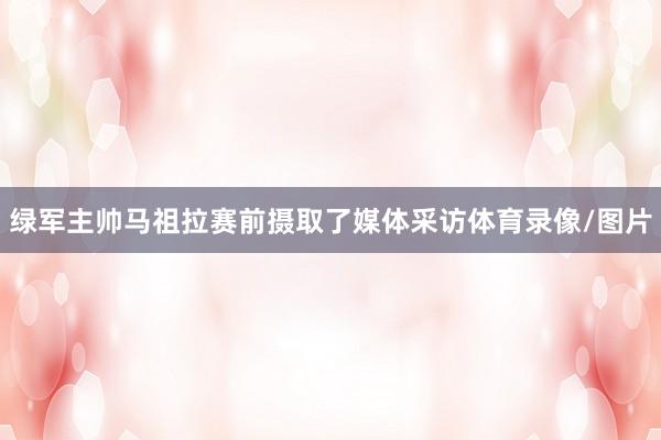 绿军主帅马祖拉赛前摄取了媒体采访体育录像/图片
