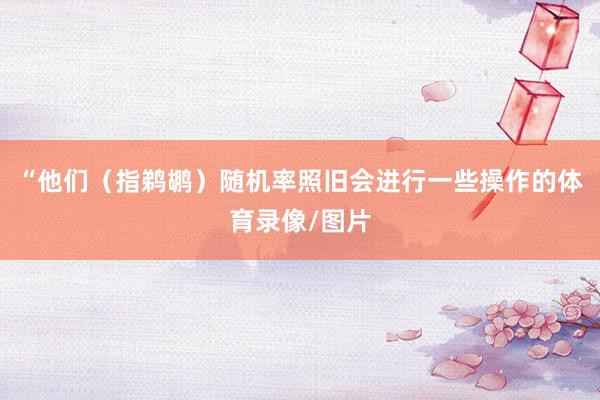 “他们（指鹈鹕）随机率照旧会进行一些操作的体育录像/图片