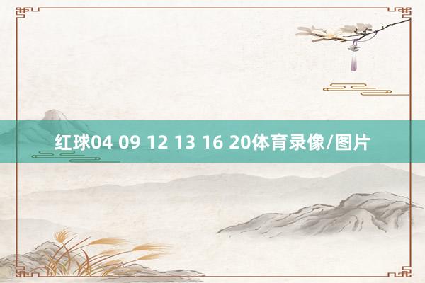 红球04 09 12 13 16 20体育录像/图片