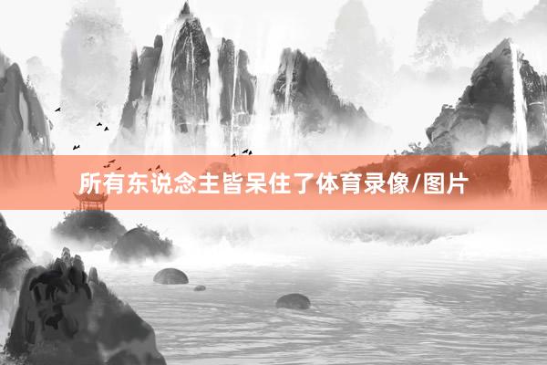 所有东说念主皆呆住了体育录像/图片