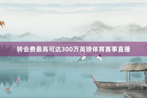 转会费最高可达300万英镑体育赛事直播