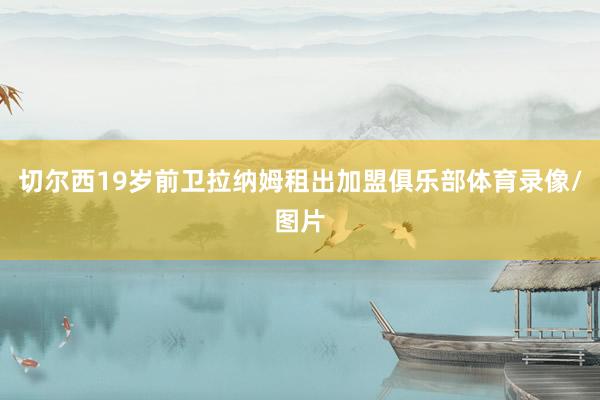 切尔西19岁前卫拉纳姆租出加盟俱乐部体育录像/图片