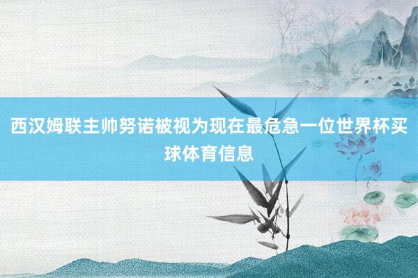 西汉姆联主帅努诺被视为现在最危急一位世界杯买球体育信息