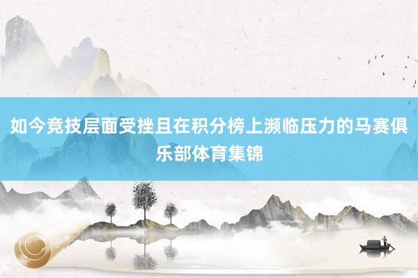 如今竞技层面受挫且在积分榜上濒临压力的马赛俱乐部体育集锦