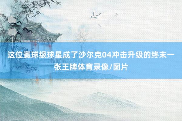 这位寰球级球星成了沙尔克04冲击升级的终末一张王牌体育录像/图片