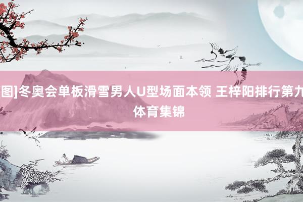 [图]冬奥会单板滑雪男人U型场面本领 王梓阳排行第九    体育集锦