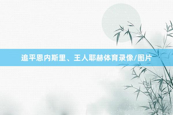 追平恩内斯里、王人耶赫体育录像/图片
