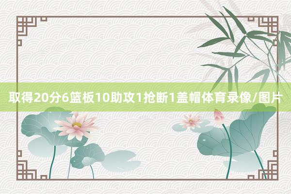 取得20分6篮板10助攻1抢断1盖帽体育录像/图片