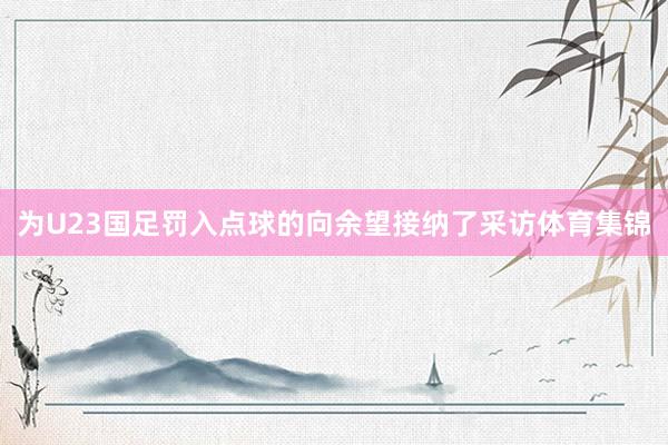 为U23国足罚入点球的向余望接纳了采访体育集锦
