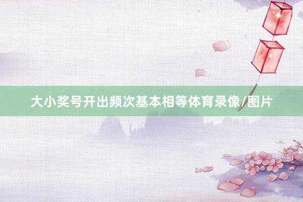大小奖号开出频次基本相等体育录像/图片