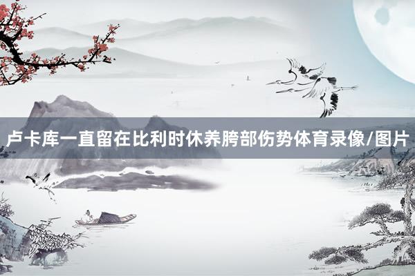 卢卡库一直留在比利时休养胯部伤势体育录像/图片