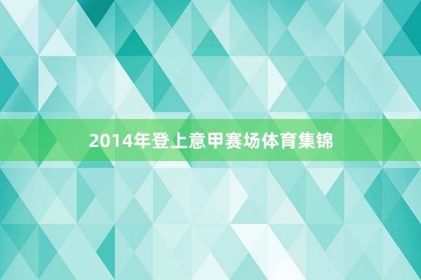 2014年登上意甲赛场体育集锦