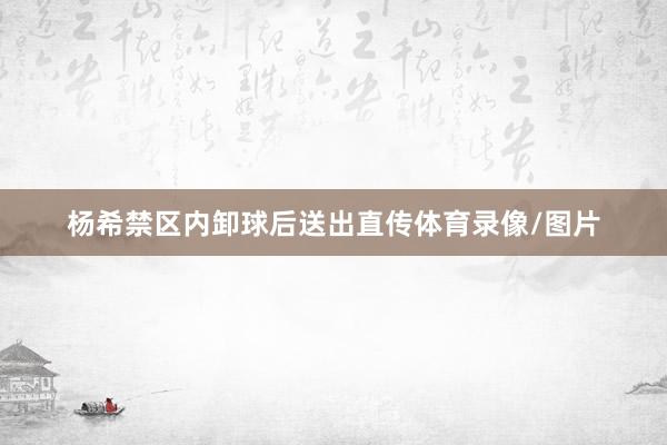 杨希禁区内卸球后送出直传体育录像/图片