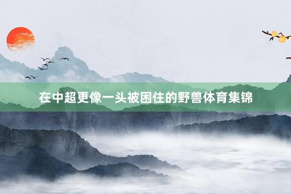 在中超更像一头被困住的野兽体育集锦