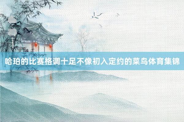 哈珀的比赛格调十足不像初入定约的菜鸟体育集锦