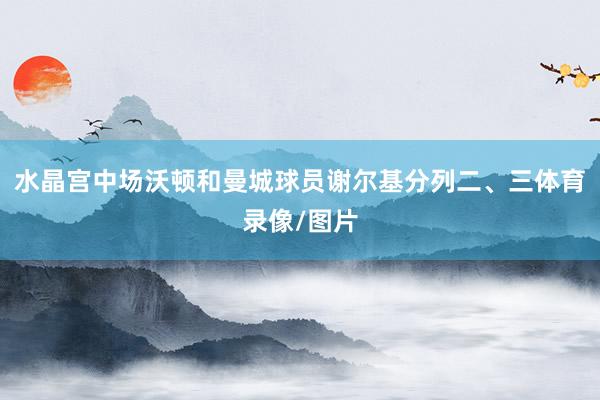 水晶宫中场沃顿和曼城球员谢尔基分列二、三体育录像/图片