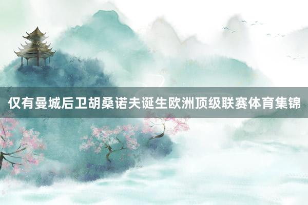 仅有曼城后卫胡桑诺夫诞生欧洲顶级联赛体育集锦