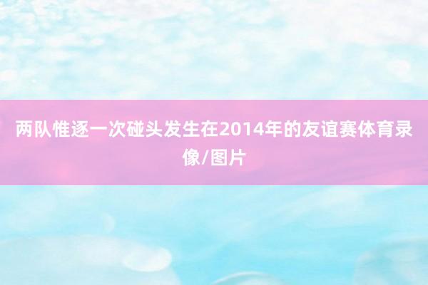 两队惟逐一次碰头发生在2014年的友谊赛体育录像/图片