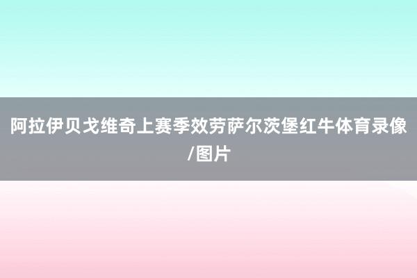 阿拉伊贝戈维奇上赛季效劳萨尔茨堡红牛体育录像/图片