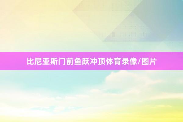比尼亚斯门前鱼跃冲顶体育录像/图片