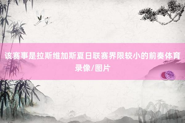 该赛事是拉斯维加斯夏日联赛界限较小的前奏体育录像/图片